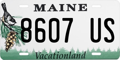ME license plate 8607US