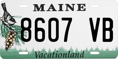 ME license plate 8607VB