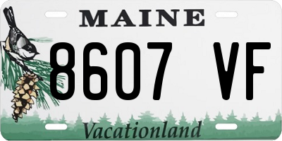 ME license plate 8607VF