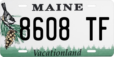 ME license plate 8608TF