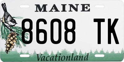 ME license plate 8608TK