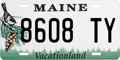 ME license plate 8608TY