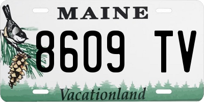 ME license plate 8609TV