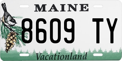 ME license plate 8609TY