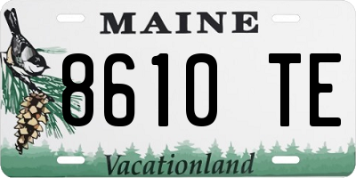 ME license plate 8610TE