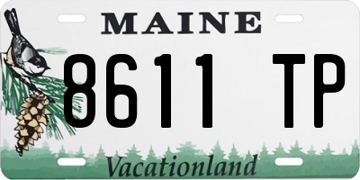 ME license plate 8611TP