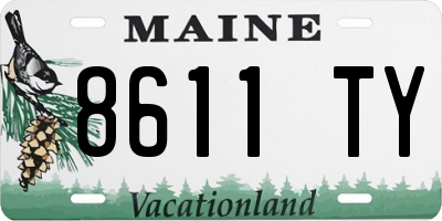ME license plate 8611TY
