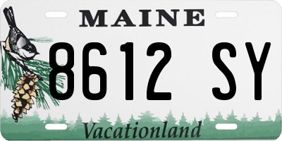 ME license plate 8612SY