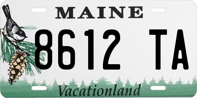 ME license plate 8612TA