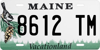 ME license plate 8612TM