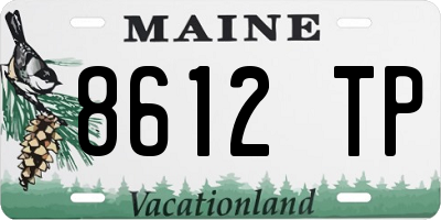 ME license plate 8612TP