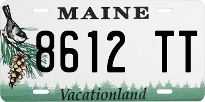 ME license plate 8612TT