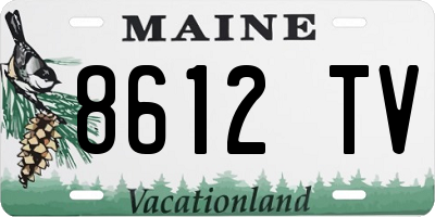 ME license plate 8612TV