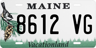 ME license plate 8612VG