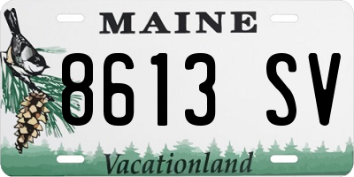 ME license plate 8613SV
