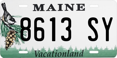 ME license plate 8613SY