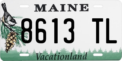 ME license plate 8613TL