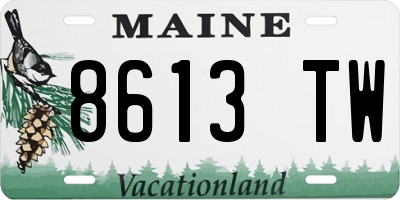 ME license plate 8613TW