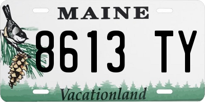 ME license plate 8613TY