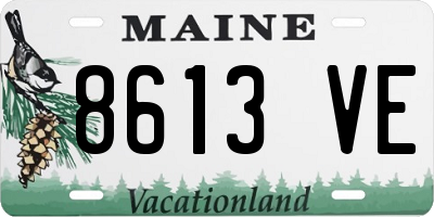 ME license plate 8613VE