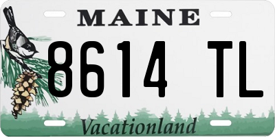 ME license plate 8614TL