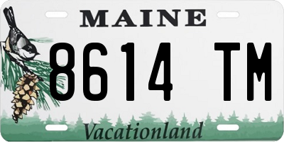 ME license plate 8614TM