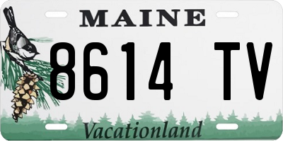 ME license plate 8614TV