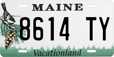 ME license plate 8614TY