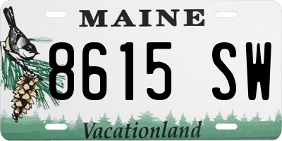 ME license plate 8615SW
