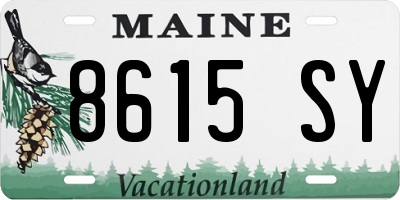 ME license plate 8615SY