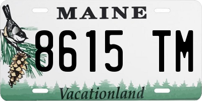 ME license plate 8615TM