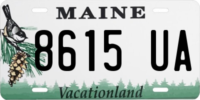 ME license plate 8615UA