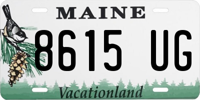 ME license plate 8615UG