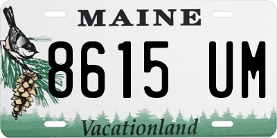 ME license plate 8615UM