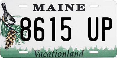 ME license plate 8615UP