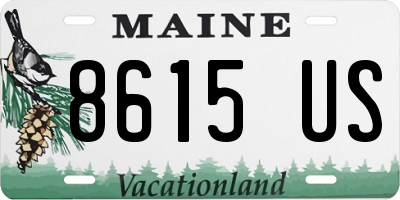 ME license plate 8615US