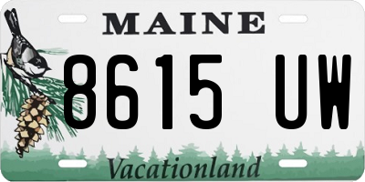 ME license plate 8615UW