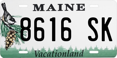 ME license plate 8616SK