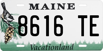ME license plate 8616TE