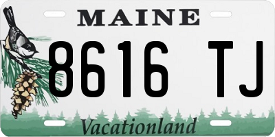 ME license plate 8616TJ