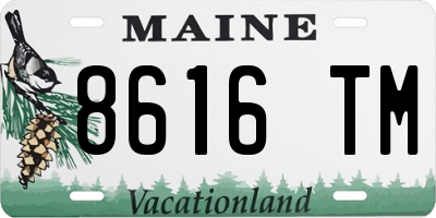 ME license plate 8616TM