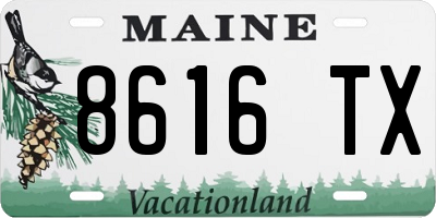 ME license plate 8616TX