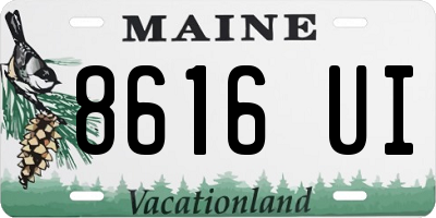 ME license plate 8616UI