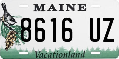ME license plate 8616UZ