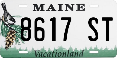 ME license plate 8617ST