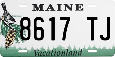 ME license plate 8617TJ