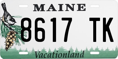 ME license plate 8617TK