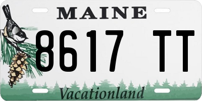 ME license plate 8617TT