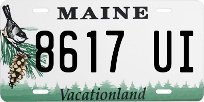 ME license plate 8617UI