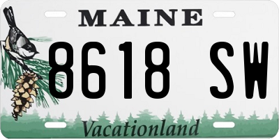ME license plate 8618SW